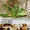 Invitacionequilibriomaximizadorweb