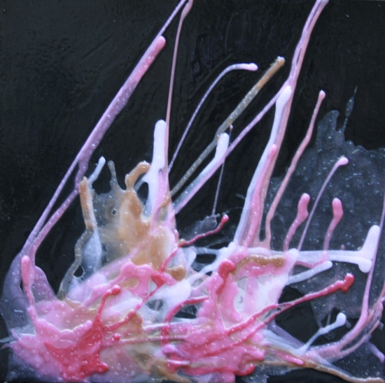 86___50x50___2009